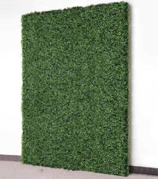 Hedge Green Wall