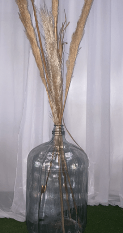 Glass Jug (large) w/ pampas(CONTACT THE OFFICE TO BOOK)