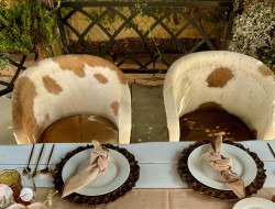 Cow skin equipal set