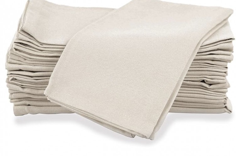 Natural Canvas napkins