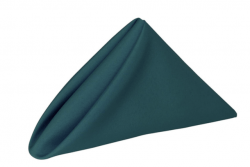 Teal Napkin