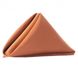 Terracotta Napkin