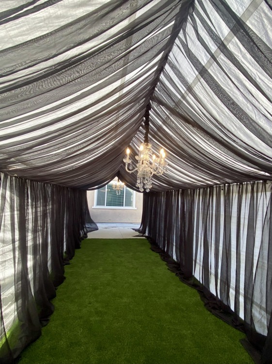 10x40 Black Full Draped Tent