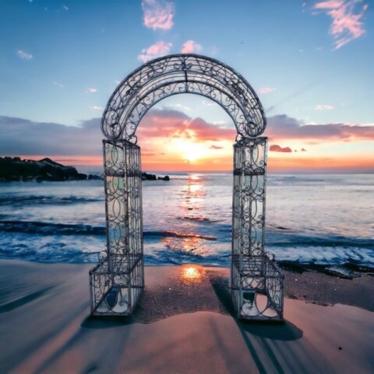 Wedding Arches