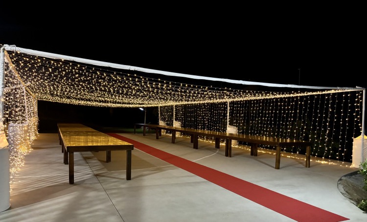 30x40 twinkle light tunnel