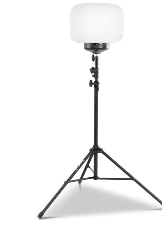 Balloon Light (60 watts)