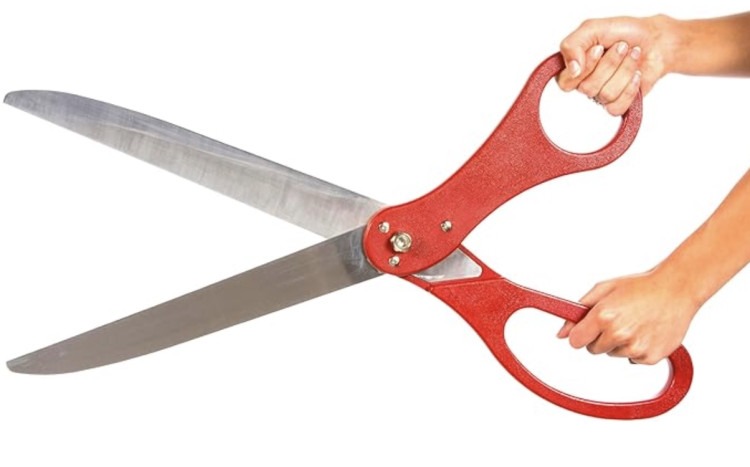 Ribbon Cutting Scissors