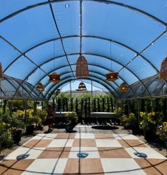 20x18 checkered dance floor (AP)